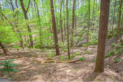 0 Lake Esther Drive #LOT 2, Fairburn, GA 30213 - Photo 7