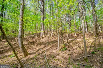 0 Lake Esther Drive #LOT 2, Fairburn, GA 30213 - Photo 9