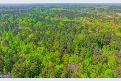 0 Lake Esther Drive #LOT 2, Fairburn, GA 30213 - Photo 11