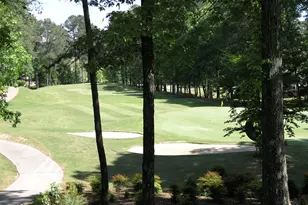 1111 Surrey Ln, Greensboro, GA 30642 - Photo 55