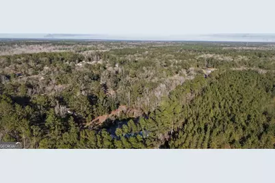 0 Virginia Ave, Woodbine, GA 31569 - Photo 1