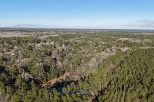 0 Virginia Ave, Woodbine, GA 31569 - Photo 1