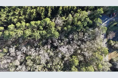 0 Virginia Ave, Woodbine, GA 31569 - Photo 3