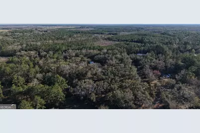 0 Virginia Ave, Woodbine, GA 31569 - Photo 7