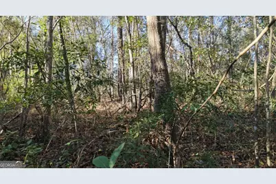 0 Virginia Ave, Woodbine, GA 31569 - Photo 15