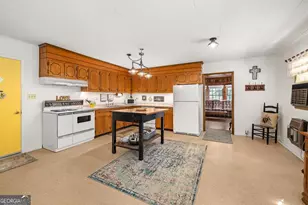 395 E Louise St, Clarkesville, GA 30523 - Photo 11