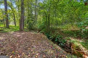 395 E Louise St, Clarkesville, GA 30523 - Photo 33