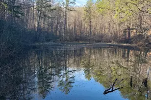 15 Mountain Gate, Cleveland, GA 30528 - Photo 1