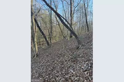 15 Mountain Gate, Cleveland, GA 30528 - Photo 5