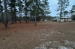 163 Dellwood Rd, Swainsboro, GA 30401 - Photo 3