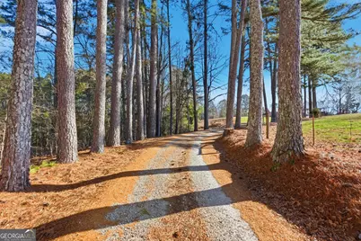 281 Line Road, Toccoa, GA 30577 - Photo 11