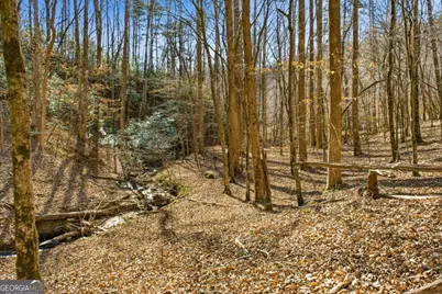 0 Captain McDonald Rd, Dahlonega, GA 30533 - Photo 9