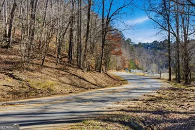 0 Captain McDonald Rd, Dahlonega, GA 30533 - Photo 41