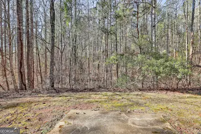 97 Sage Court, Newnan, GA 30263 - Photo 29