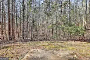 97 Sage Ct, Newnan, GA 30263 - Photo 29