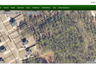 561 Abberly Ln, Ellerslie, GA 31807 - Photo 33