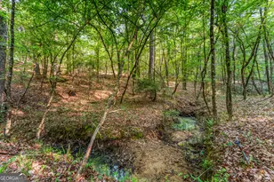 4 Mountain Ridge Ct, Columbus, GA 31904 - Photo 65