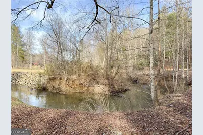 315 Mystic Lane, Blue Ridge, GA 30513 - Photo 39