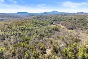 17 Deer Track Rd, Sautee Nacoochee, GA 30571 - Photo 47