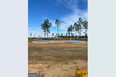 219 Manchester Drive, Statesboro, GA 30461 - Photo 3