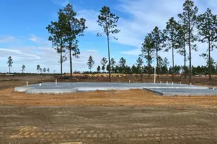 219 Manchester Dr, Statesboro, GA 30461 - Photo 3