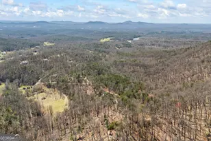 266 Slayton Gap Trl, Cleveland, GA 30528 - Photo 77