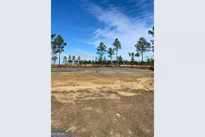 223 Manchester Drive, Statesboro, GA 30461 - Photo 1