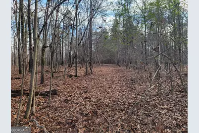 00 Rocky Hollow Rd, Summerville, GA 30747 - Photo 3
