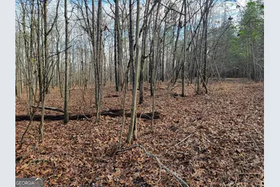 00 Rocky Hollow Rd, Summerville, GA 30747 - Photo 7