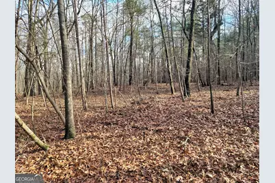 00 Rocky Hollow Rd, Summerville, GA 30747 - Photo 5