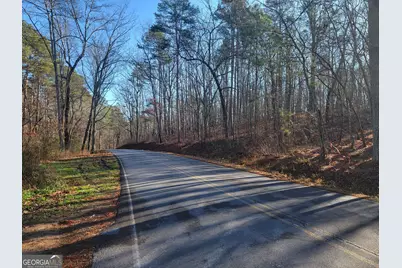 00 Rocky Hollow Rd, Summerville, GA 30747 - Photo 11