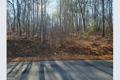 00 Rocky Hollow Rd, Summerville, GA 30747 - Photo 13