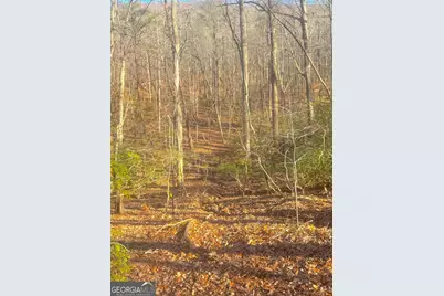 00 Crooked Creek, Jasper, GA 30143 - Photo 19