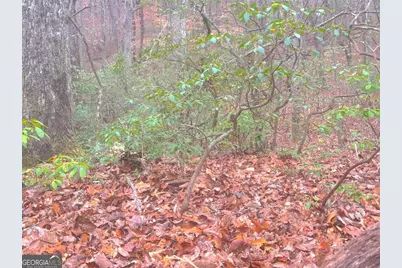 00 Crooked Creek, Jasper, GA 30143 - Photo 3