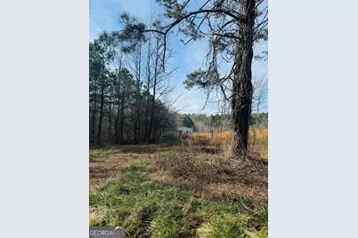 508 McKibben Road, Buchanan, GA 30113 - Photo 5