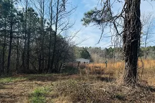 508 McKibben Rd, Buchanan, GA 30113 - Photo 5