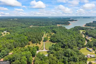 300 Black Pt Dr, Hartwell, GA 30643 - Photo 113