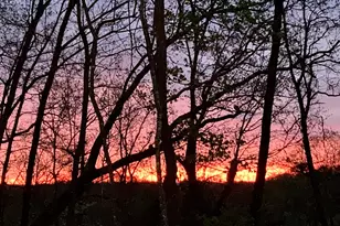 110 Planters Knl, Baldwin, GA 30511 - Photo 97