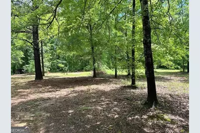 234 Vaughn Circle, Griffin, GA 30223 - Photo 3