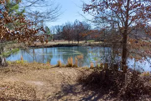 456 W McIntosh Rd, Brooks, GA 30205 - Photo 43