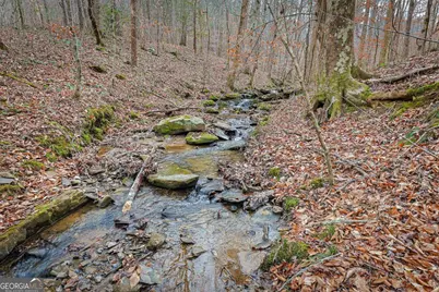 30 Chancel Circle #654R, Ellijay, GA 30540 - Photo 27