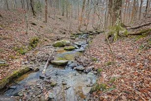 30 Chancel Cir, Ellijay, GA 30540 - Photo 27