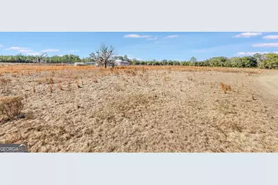 0 Sylvester Drive, Nahunta, GA 31553 - Photo 5