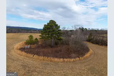 0 Old Hwy 337, Menlo, GA 30731 - Photo 9