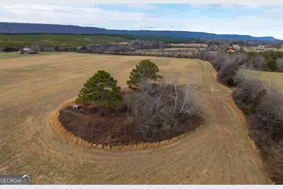 0 Old Hwy 337, Menlo, GA 30731 - Photo 7