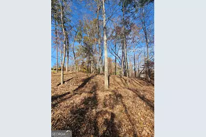 173 Edgewater Trail S, Toccoa, GA 30577 - Photo 5