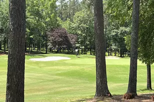 1040 Lake Dr, Greensboro, GA 30642 - Photo 5