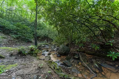 126 Brookwood Drive, Blue Ridge, GA 30513 - Photo 21