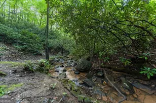 126 Brookwood Dr, Blue Ridge, GA 30513 - Photo 21