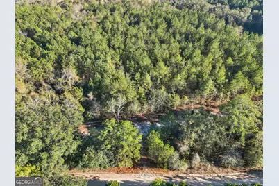 0 Beautiful Zion Cemetary Road, Pembroke, GA 31321 - Photo 13